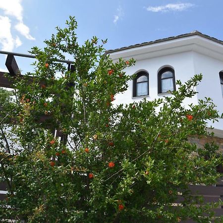 Karpofora Traditional Guesthouse Miléai エクステリア 写真